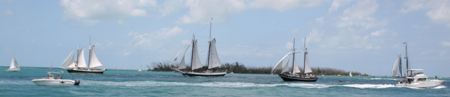 Conch Republik - das Rennen zum Riff vor Key West

